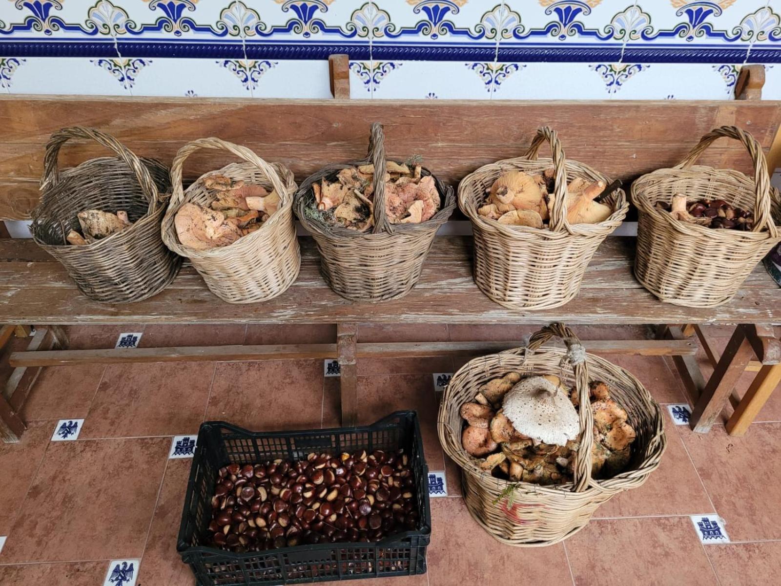 Вілла Casa Pozo Tarama Casavieja Екстер'єр фото